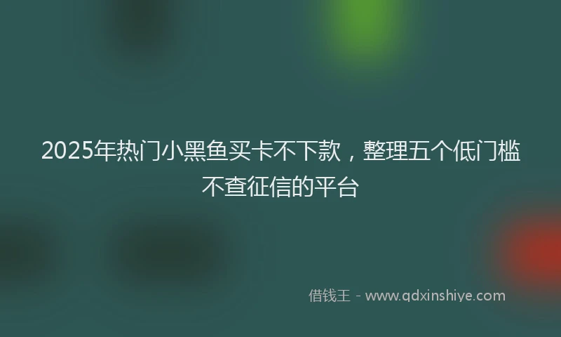 2025年热门小黑鱼买卡不下款，整理五个低门槛不查征信的平台