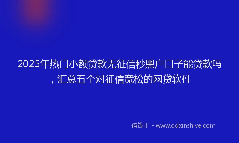 2025年热门小额贷款无征信秒黑户口子能贷款吗，汇总五个对征信宽松的网贷软件