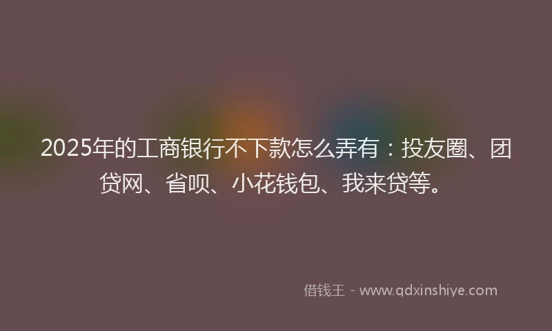 2025年的工商银行不下款怎么弄有：投友圈、团贷网、省呗、小花钱包、我来贷等。