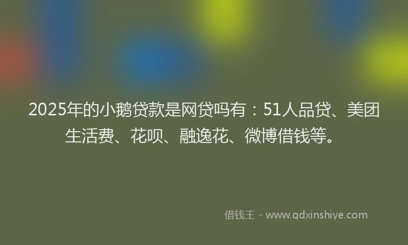 2025年的小鹅贷款是网贷吗有：51人品贷、美团生活费、花呗、融逸花、微博借钱等。
