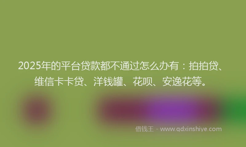 2025年的平台贷款都不通过怎么办有：拍拍贷、维信卡卡贷、洋钱罐、花呗、安逸花等。