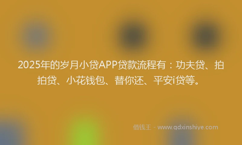 2025年的岁月小贷APP贷款流程有：功夫贷、拍拍贷、小花钱包、替你还、平安i贷等。