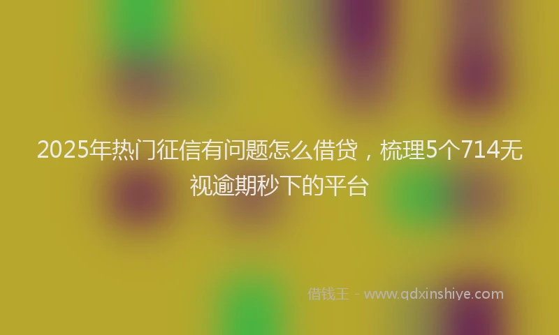 2025年热门征信有问题怎么借贷，梳理5个714无视逾期秒下的平台