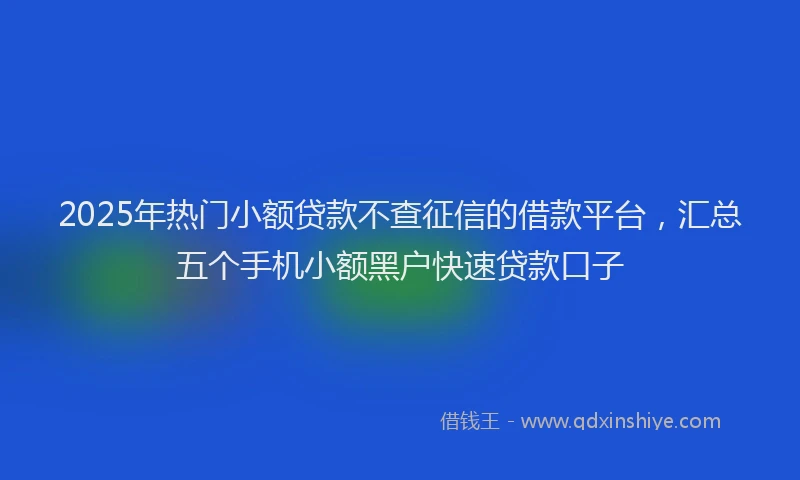 2025年热门小额贷款不查征信的借款平台,汇总五个手机小额黑户快速贷款口子