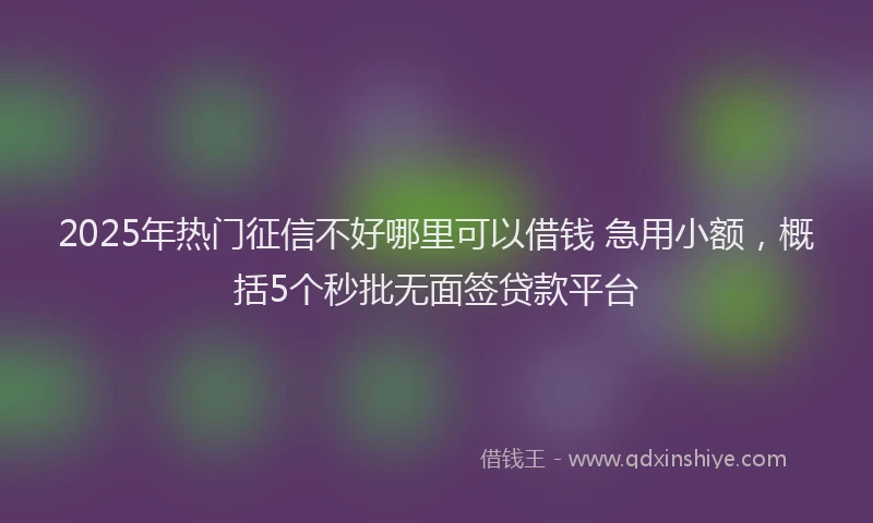 2025年热门征信不好哪里可以借钱 急用小额，概括5个秒批无面签贷款平台