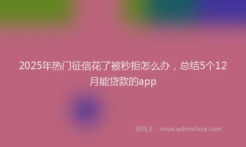 2025年热门征信花了被秒拒怎么办，总结5个12月能贷款的app