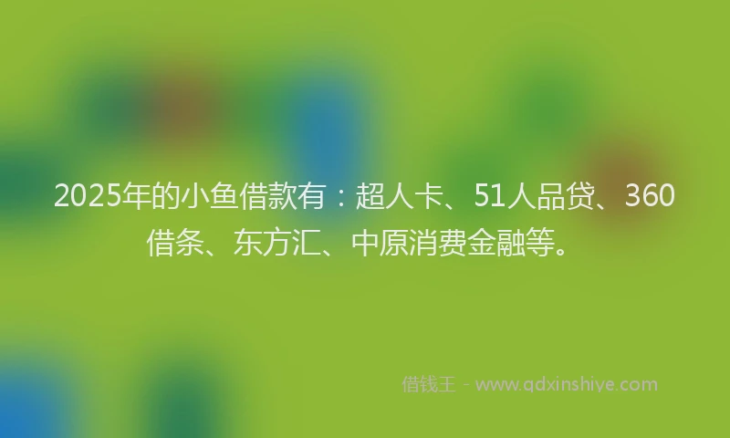 2025年的小鱼借款有：超人卡、51人品贷、360借条、东方汇、中原消费金融等。