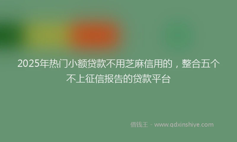 2025年热门小额贷款不用芝麻信用的，整合五个不上征信报告的贷款平台