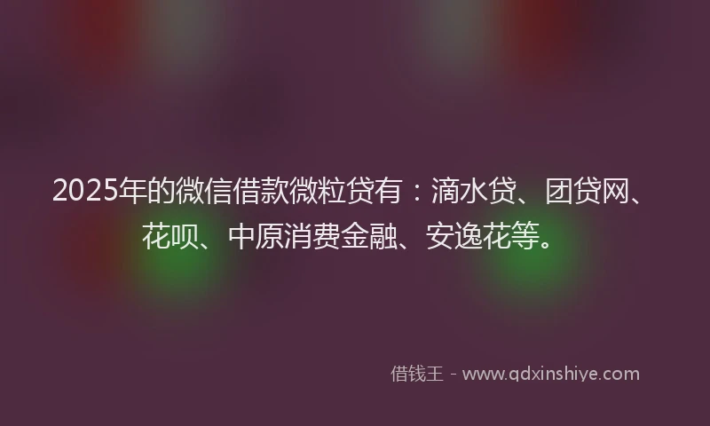 2025年的微信借款微粒贷有：滴水贷、团贷网、花呗、中原消费金融、安逸花等。