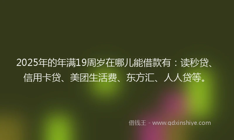 2025年的年满19周岁在哪儿能借款有：读秒贷、信用卡贷、美团生活费、东方汇、人人贷等。