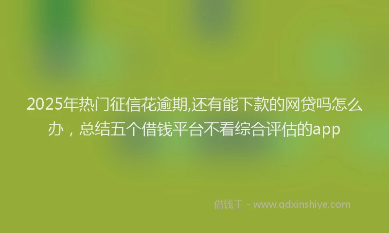 2025年热门征信花逾期,还有能下款的网贷吗怎么办，总结五个借钱平台不看综合评估的app