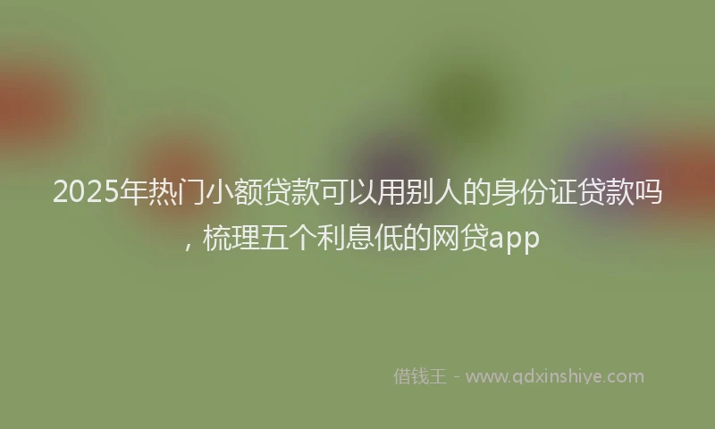 2025年热门小额贷款可以用别人的身份证贷款吗，梳理五个利息低的网贷app