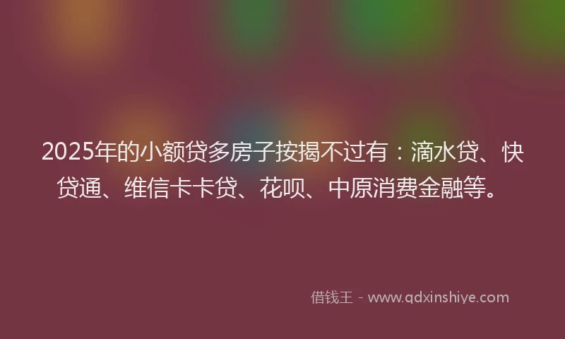 2025年的小额贷多房子按揭不过有：滴水贷、快贷通、维信卡卡贷、花呗、中原消费金融等。