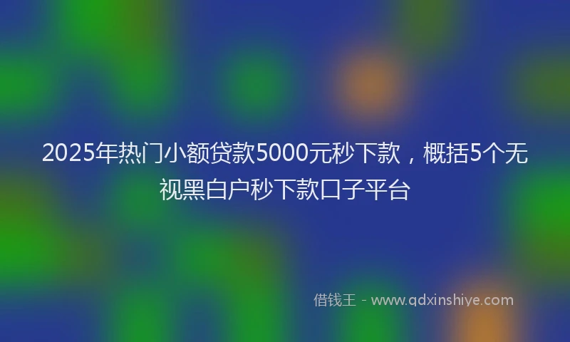 2025年热门小额贷款5000元秒下款,概括5个无视黑白户秒下款口子平台