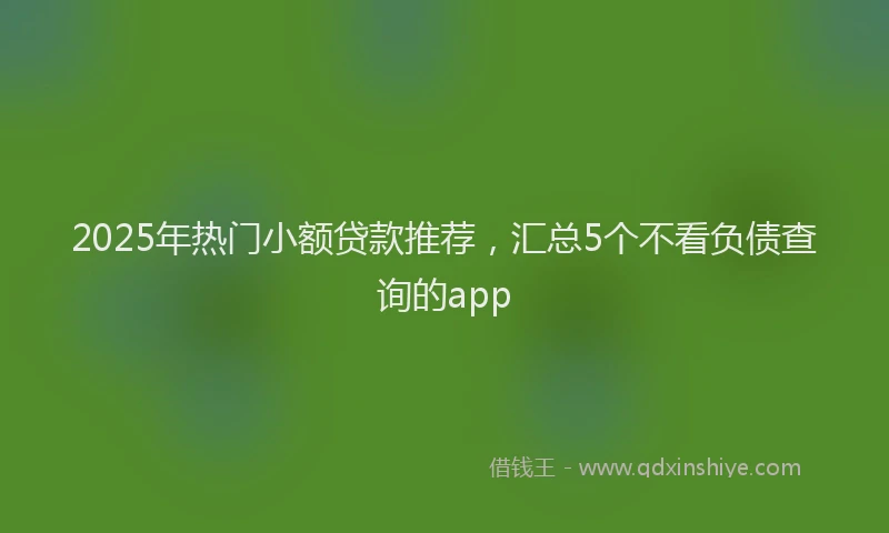 2025年热门小额贷款推荐，汇总5个不看负债查询的app