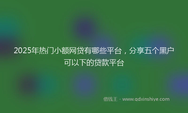 2025年热门小额网贷有哪些平台，分享五个黑户可以下的贷款平台
