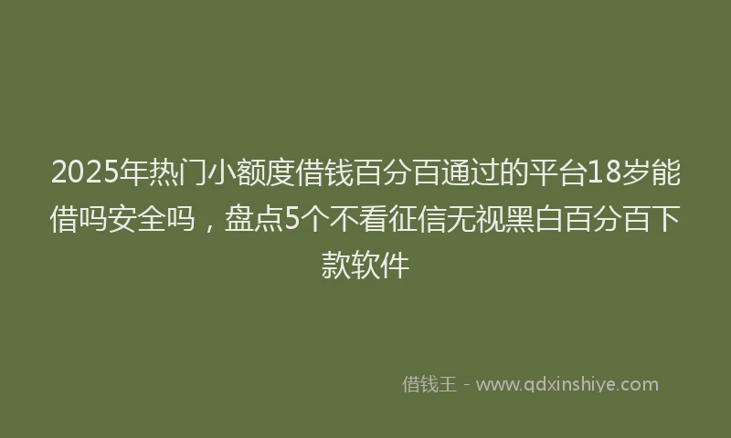 2025年热门小额度借钱百分百通过的平台18岁能借吗安全吗，盘点5个不看征信无视黑白百分百下款软件