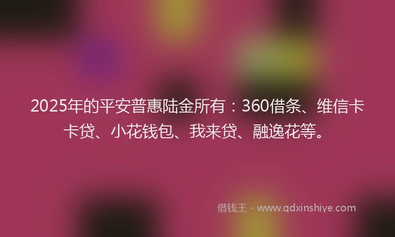 2025年的平安普惠陆金所有:360借条、维信卡卡贷、小花钱包、我来贷、融逸花等。