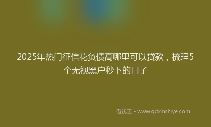 2025年热门征信花负债高哪里可以贷款，梳理5个无视黑户秒下的口子