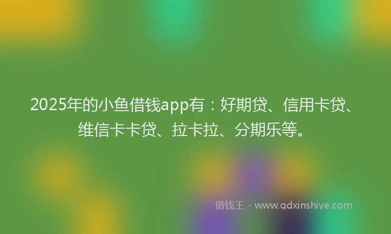 2025年的小鱼借钱app有：好期贷、信用卡贷、维信卡卡贷、拉卡拉、分期乐等。