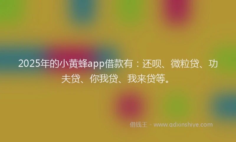 2025年的小黄蜂app借款有：还呗、微粒贷、功夫贷、你我贷、我来贷等。