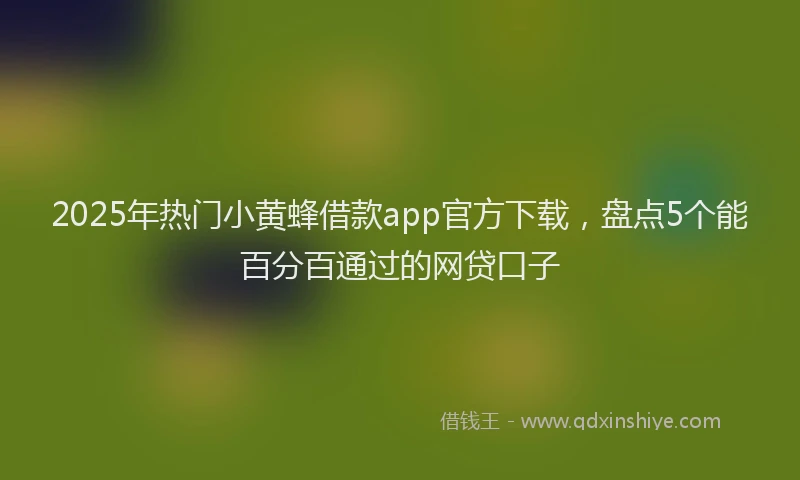 2025年热门小黄蜂借款app官方下载，盘点5个能百分百通过的网贷口子