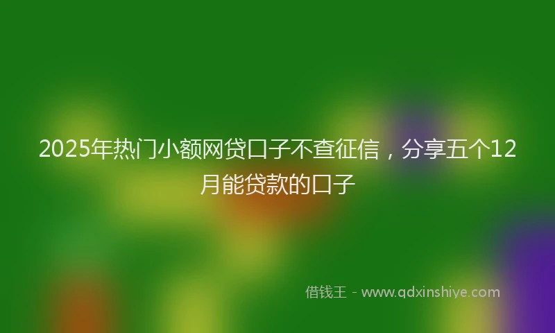2025年热门小额网贷口子不查征信,分享五个12月能贷款的口子