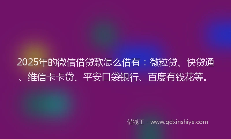 2025年的微信借贷款怎么借有：微粒贷、快贷通、维信卡卡贷、平安口袋银行、百度有钱花等。