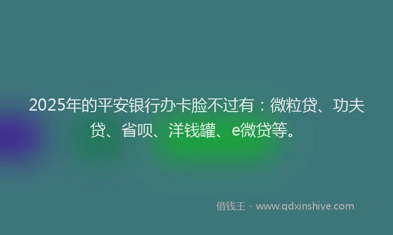 2025年的平安银行办卡脸不过有：微粒贷、功夫贷、省呗、洋钱罐、e微贷等。