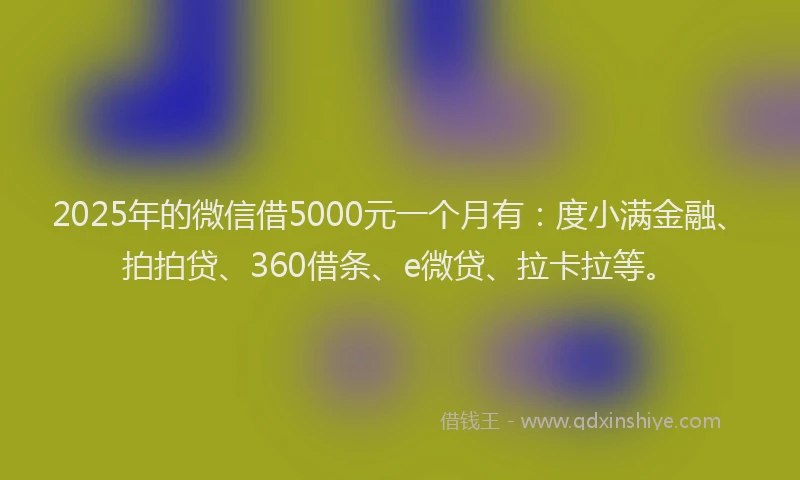 2025年的微信借5000元一个月有：度小满金融、拍拍贷、360借条、e微贷、拉卡拉等。