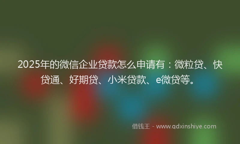 2025年的微信企业贷款怎么申请有：微粒贷、快贷通、好期贷、小米贷款、e微贷等。