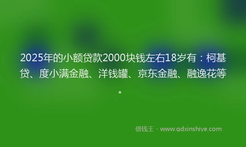 2025年的小额贷款2000块钱左右18岁有：柯基贷、度小满金融、洋钱罐、京东金融、融逸花等。