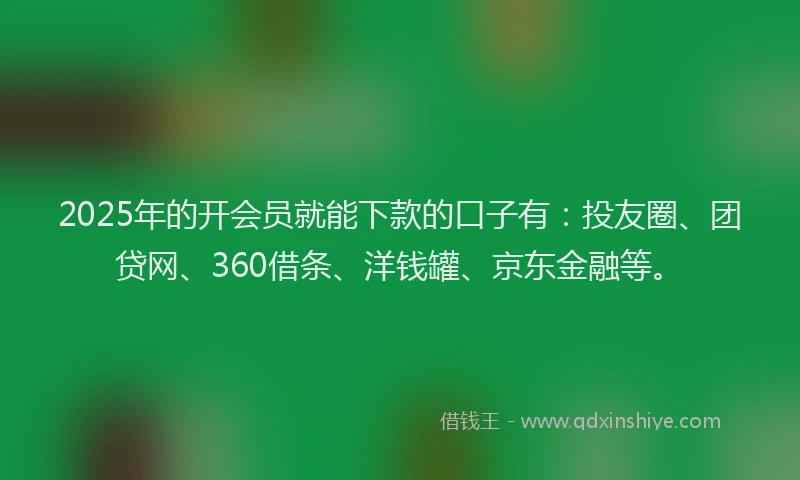2025年的开会员就能下款的口子有：投友圈、团贷网、360借条、洋钱罐、京东金融等。