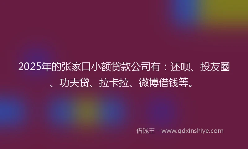 2025年的张家口小额贷款公司有：还呗、投友圈、功夫贷、拉卡拉、微博借钱等。