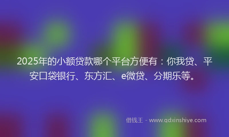 2025年的小额贷款哪个平台方便有：你我贷、平安口袋银行、东方汇、e微贷、分期乐等。