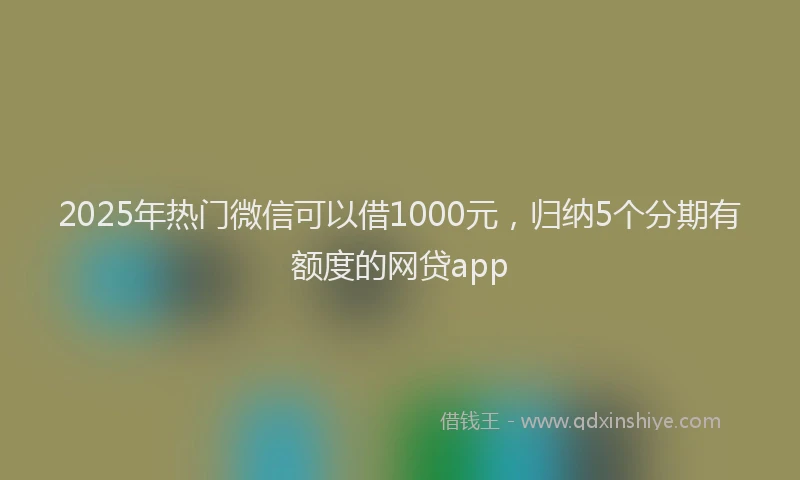 2025年热门微信可以借1000元，归纳5个分期有额度的网贷app