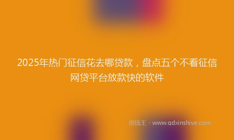 2025年热门征信花去哪贷款，盘点五个不看征信网贷平台放款快的软件