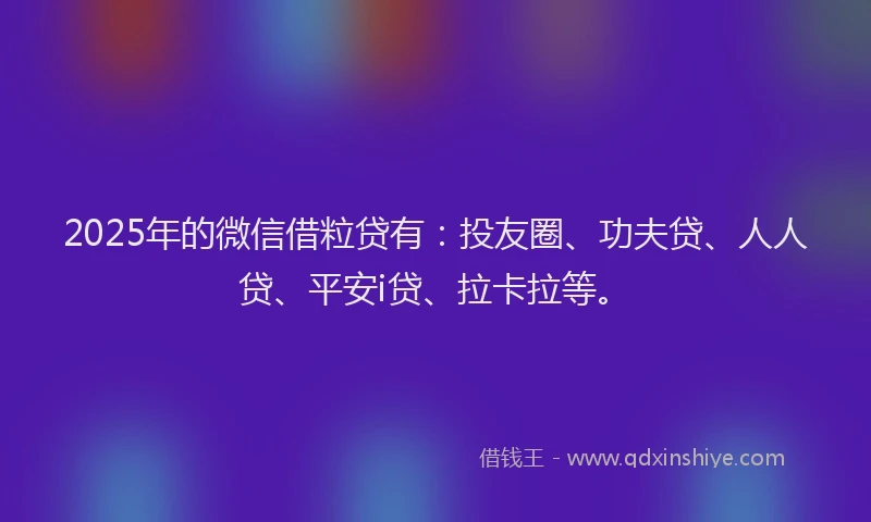 2025年的微信借粒贷有：投友圈、功夫贷、人人贷、平安i贷、拉卡拉等。