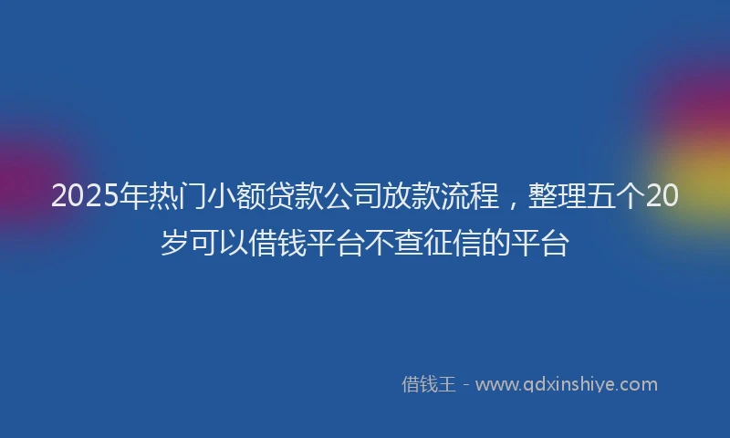 2025年热门小额贷款公司放款流程,整理五个20岁可以借钱平台不查征信的平台