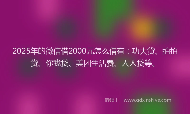 2025年的微信借2000元怎么借有：功夫贷、拍拍贷、你我贷、美团生活费、人人贷等。