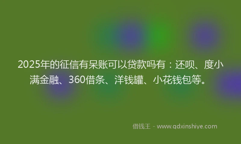 2025年的征信有呆账可以贷款吗有：还呗、度小满金融、360借条、洋钱罐、小花钱包等。
