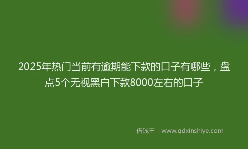 2025年热门当前有逾期能下款的口子有哪些，盘点5个无视黑白下款8000左右的口子