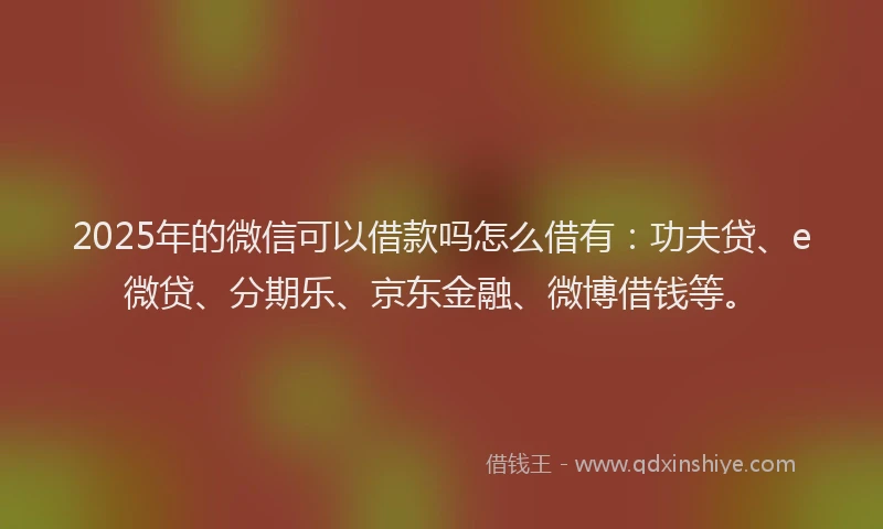 2025年的微信可以借款吗怎么借有：功夫贷、e微贷、分期乐、京东金融、微博借钱等。