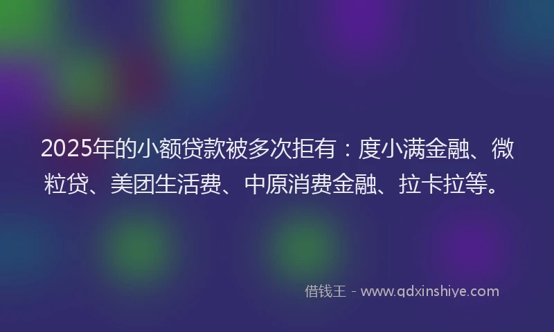 2025年的小额贷款被多次拒有：度小满金融、微粒贷、美团生活费、中原消费金融、拉卡拉等。