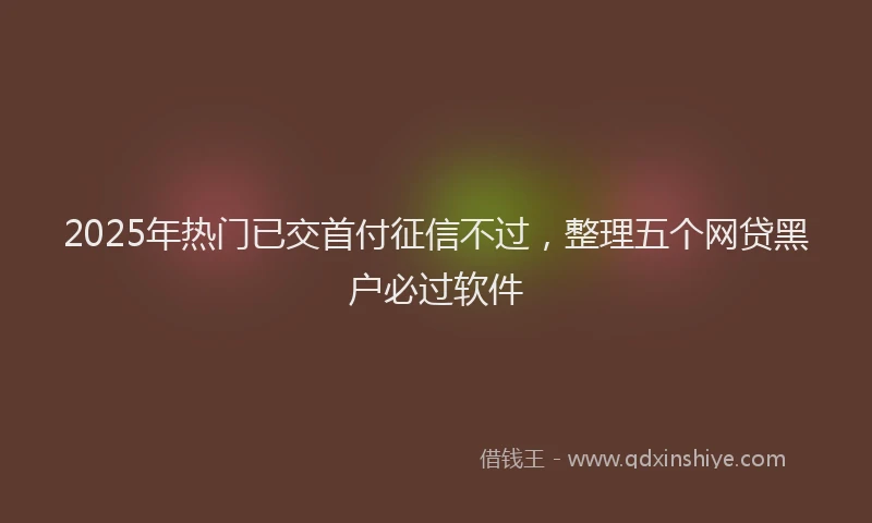2025年热门已交首付征信不过，整理五个网贷黑户必过软件