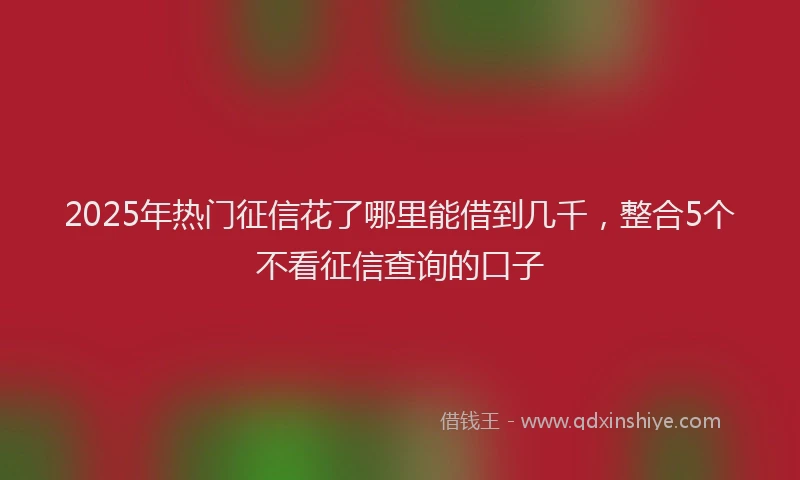 2025年热门征信花了哪里能借到几千，整合5个不看征信查询的口子