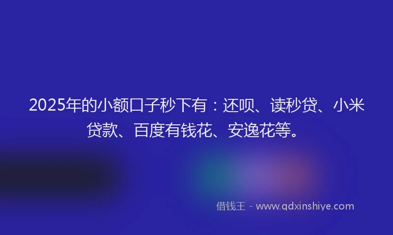 2025年的小额口子秒下有：还呗、读秒贷、小米贷款、百度有钱花、安逸花等。