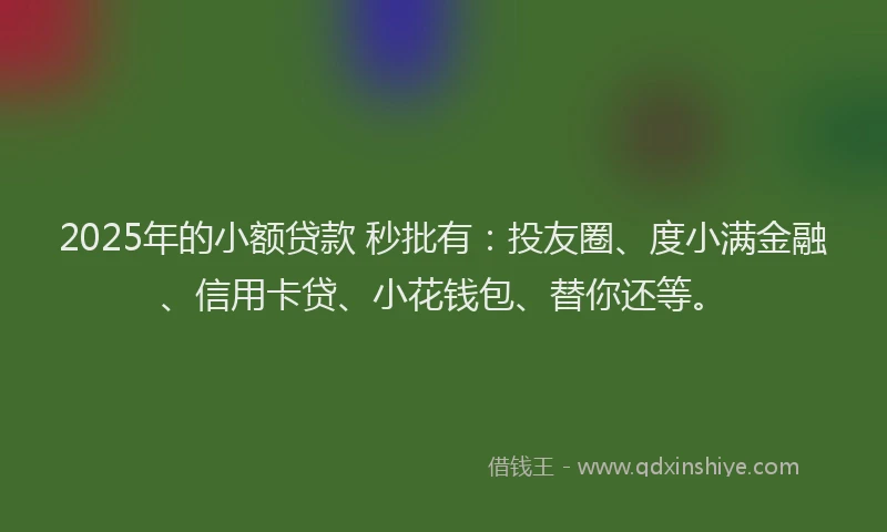 2025年的小额贷款 秒批有：投友圈、度小满金融、信用卡贷、小花钱包、替你还等。