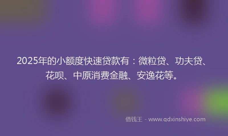2025年的小额度快速贷款有：微粒贷、功夫贷、花呗、中原消费金融、安逸花等。