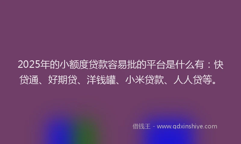 2025年的小额度贷款容易批的平台是什么有：快贷通、好期贷、洋钱罐、小米贷款、人人贷等。